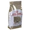 ROYAL CANIN Pug Adult Sausas ėdalas suaugusiems šunims, 1,5kg