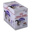 Royal Canin FHN kačių sterilizuotas kepalas 12x85 g