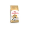 Royal Canin Norwegian Forest Cat Adult sausas maistas katėms 400g paukštiena