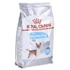Šunų Maistas - Royal Canin Mini Šlapimo Takų Priežiūra 3kg