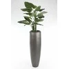 Fleur Ami Vokietija fleur ami Ø30x80cm vazonas New Loft Vase 80, anthracite