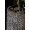 Fleur Ami Vokietija fleur ami Ø31x70cm vazonas Artic Stone 70, stone optics