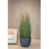 Fleur Ami Vokietija fleur ami Ø43x36cm vazonas Gritto 43, anthracite