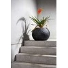 Fleur Ami Vokietija fleur ami Ø60x43cm vazonas Rocky Globe 60, juodas granite