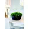 Nicoli ø30x12cm dubuo Thetis 30 antracito spalvos