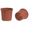 Nicoli 2,4l vazonas CONTAINER IME 17cm rudas