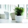 Nicoli ø40x30cm vazonas Hera 40 baltos spalvos
