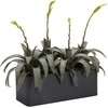 Athena Nicoli 60x20x18cm lovelis Iris 60 antracito spalvos
