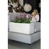 Nicoli 50x20x18cm lovelis Calypso Matt 50 baltos spalvos