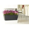 Nicoli 50x20x18cm lovelis Mysia 50 antracito spalvos