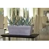 Nicoli 50x20x18cm lovelis Mysia 50 pelenų spalvos