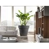 Teraplast Italija Teraplast ø120x108cm vazonas Standard One 120, antracito spalvos