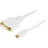 Adapteriai DELTACO mini, DisplayPort / DVI-I, 1m, baltas / DP-DVI100