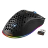 Belaidė itin lengva žaidimų pelė DELTACO GAMING DM220, 70g svorio, RGB, SPCP6651, 400-6400 DPI, 1000 Hz, juoda / GAM-120
