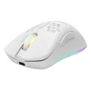 Belaidė itin lengva žaidimų pelė DELTACO GAMING Baltas LINE 70g svorio, RGB, SPCP6651, 400-6400 DPI, 1000 Hz, balta / GAM-120-W