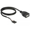 DELOCK kabelio USB 2.0 kaiščio antraštės lizdas iki 1 x USB 2.0 tipo A lizdo, 60 cm