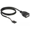 DELOCK kabelio USB 2.0 kaiščio antraštės lizdas iki 1 x USB 2.0 tipo A lizdo, 60 cm
