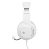 Stereo žaidimų ausinės DELTACO GAMING Baltas LINE skirtos PS5, 2 m laidas, 40 mm elementas, balta / mėlyna / GAM-127-W