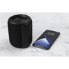 STREETZ vandeniui atspari „Bluetooth“ kolonėlė,TWS, 10 W, IPX7, 3,5 mm,, AUX, su mikrofonu, juoda CM765