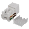 UTP Cat6 kabelių jungtis, neekranuota, 90 laipsnių, 22-26AWG DELTACO / MD-111
