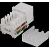 UTP Cat6 kabelių jungtis, neekranuota, 90 laipsnių, 22-26AWG DELTACO / MD-111