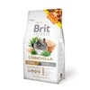 BRIT Animals maistas šinšiloms 1,5kg