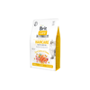 Brit Care Cat GF Haircare Healthy&Shiny Coat (lašiša&vištiena) 7kg