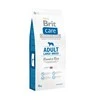 BRIT CARE Dog Adult Large Breed su ėriena ir ryžiais 12kg