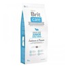 BRIT CARE Dog Junior Large Breed su lašiša ir bulvėmis 12kg