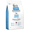 BRIT CARE Dog Junior Large Breed su lašiša ir bulvėmis 3kg
