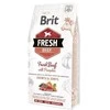 Brit Fresh Dog Jautiena su moliūgas Puppy Large 2,5kg