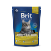 BRIT PREMIUM Cat Adult lašiša 300g