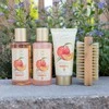 Accentra Vonios rinkinys ESSENTIAL BOTANICS – FRUITS dovanų dėžutėje