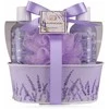 Accentra Vonios rinkinys LAVENDER