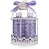 Accentra Vonios rinkinys LAVENDER