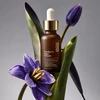 Veido serumas „Apothe Tulip Barrier Vegan Ampoule“, 30 ml