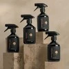 Candle Family Automobilio langų valymo priemonė, 500 ml
