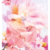 Kvepalai moterims Christian Dior Miss Dior Blooming Bouquet (EDT, 100 ml)