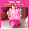 Edukacinis kristalų auginimo rinkinys Barbie Crystal Growing Kit, RTBBCRYSTAL