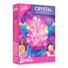 Edukacinis kristalų auginimo rinkinys Barbie Crystal Growing Kit, RTBBCRYSTAL