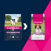 Sausas maistas Eukanuba Life Care mažų ir vidutinių veislių šuniukams su ėriena ir ryžiais, S/M, 12 kg