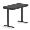 Flexispot reguliuojamo aukščio stalas EW9BB, 120 cm