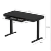 Flexispot reguliuojamo aukščio stalas EW9BB, 120 cm