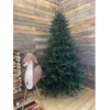 PE kalėdinė eglutė Super Classic 220 cm, žalia (210S/220/G)