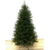 PE kalėdinė eglutė Super Traditional 220 cm, žalia (215S/220/G)