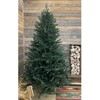 PE kalėdinė eglutė Super Traditional 220 cm, žalia (215S/220/G)