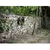 Kärcher Laistymo žarna  Hose PrimoFlex Plus 1/2" - 50 m (2.645-319.0)