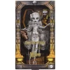 Kolekcinė lėlė „Monster High Skullector Mumija“, JKM51