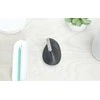 Belaidė pelė Logitech MX Vertical, pilka