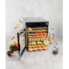 Maisto džiovintuvas Stollar The Rapid Food Dryer DHS800, 900 W